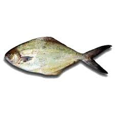 ateus fiatola
